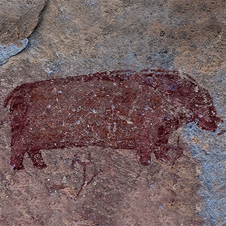 HARRISMITH | SOUTH AFRICA