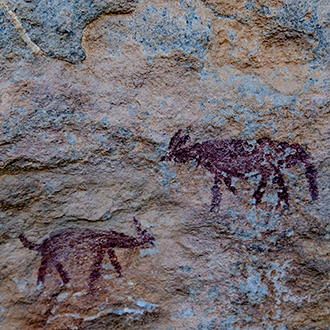 HARRISMITH | SOUTH AFRICA