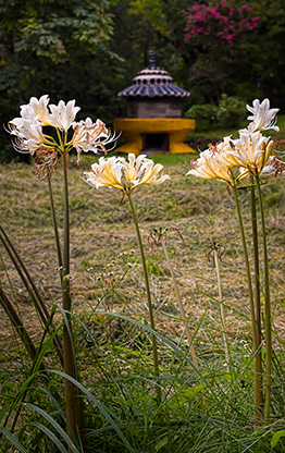 ANDONG | SOUTH KOREA