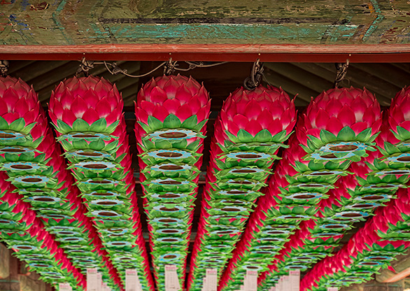 GYEONGJU | SOUTH KOREA