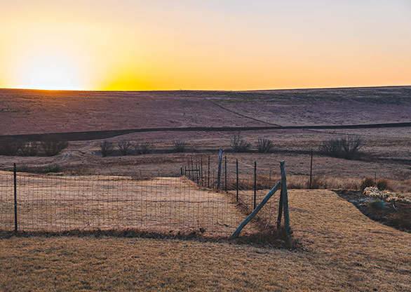 NCABANENI | SWAZILAND