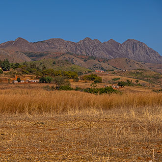 NGONINI | SWAZILAND