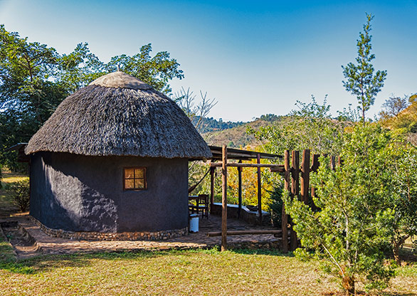 NGONINI | SWAZILAND