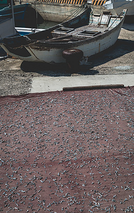 TAIWAN PENGHU | TAIWAN