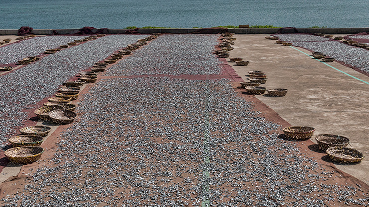 TAIWAN PENGHU | TAIWAN