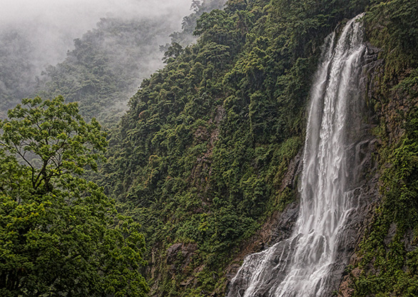 TAIWAN WULAI | TAIWAN