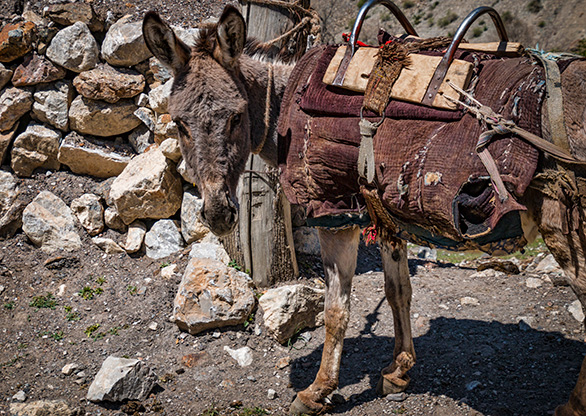 THE FANN MOUNTAINS | TAJIKISTAN