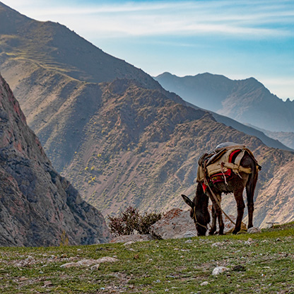 THE FANN MOUNTAINS | TAJIKISTAN