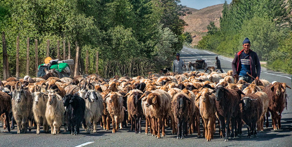 THE FANN MOUNTAINS | TAJIKISTAN