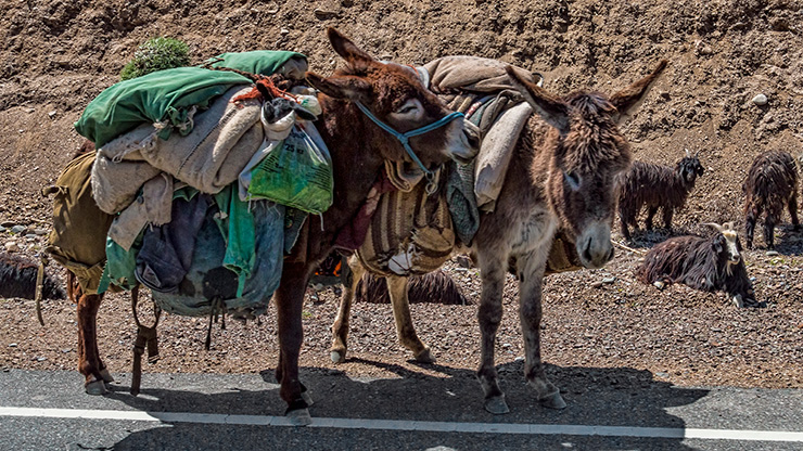 THE FANN MOUNTAINS | TAJIKISTAN