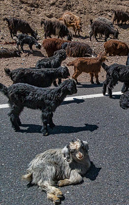 THE FANN MOUNTAINS | TAJIKISTAN