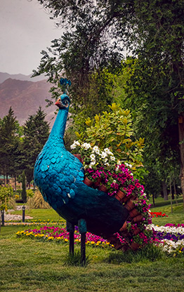 KHUJAND | TAJIKISTAN