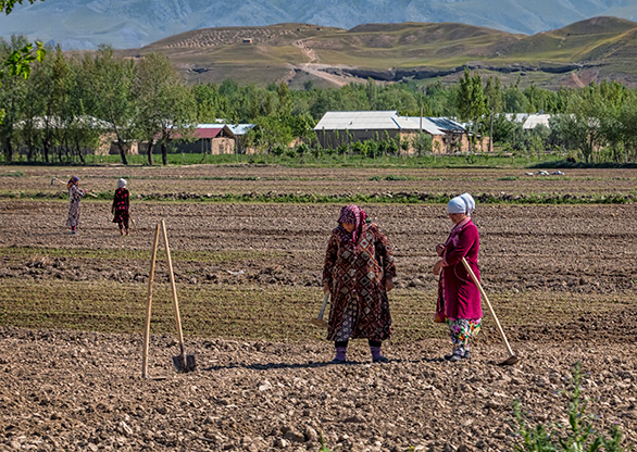 PANJAKENT | TAJIKISTAN