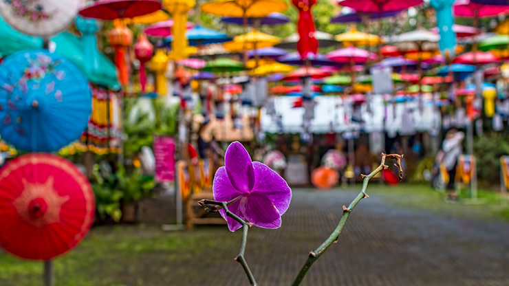 CHIANG MAI | THAILAND