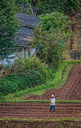 CHIANG MAI | THAILAND