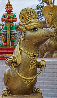 CHIANG MAI | THAILAND