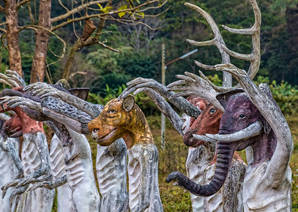 CHIANG MAI | THAILAND