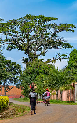 ENTEBBE | UGANDA