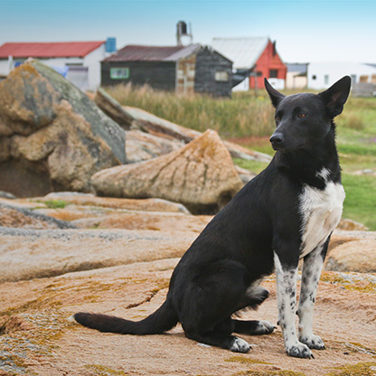 CABO POLONIO | URUGUAY