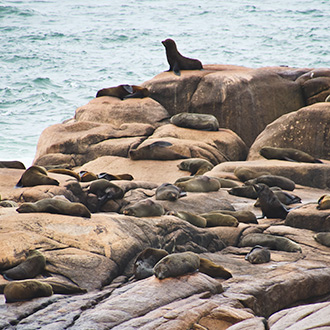 CABO POLONIO | URUGUAY