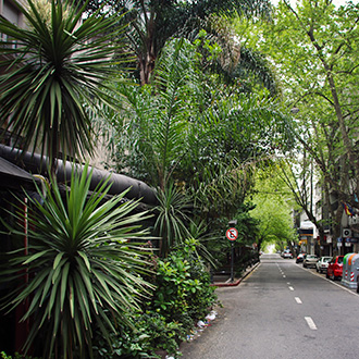 MONTEVIDEO | URUGUAY