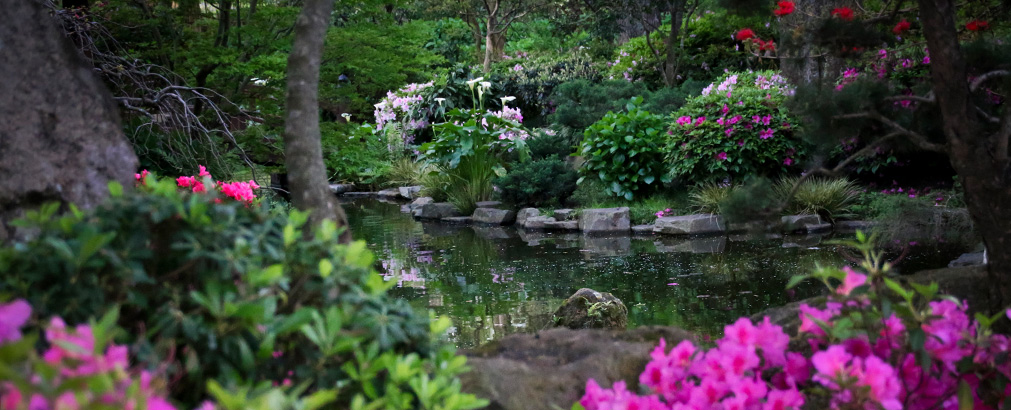 MONTEVIDEO | URUGUAY