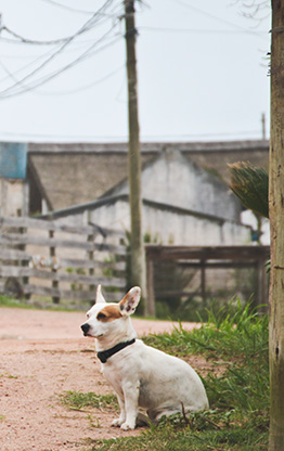 PUNTA DEL DIABLO | URUGUAY