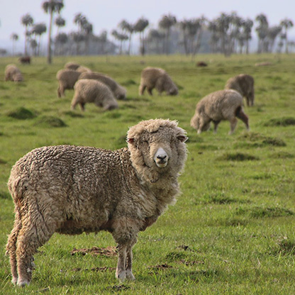 FORT SANTA TERESA | URUGUAY