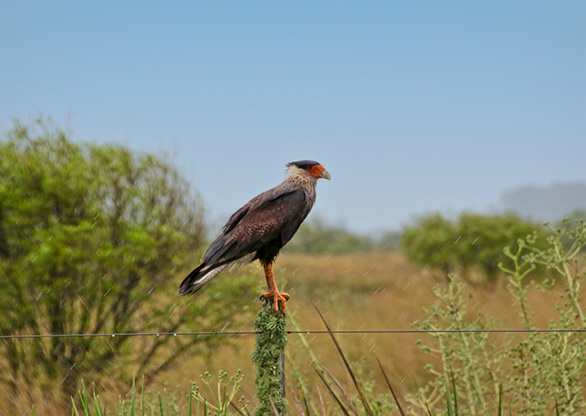 FORT SANTA TERESA | URUGUAY