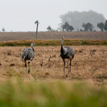 FORT SANTA TERESA | URUGUAY
