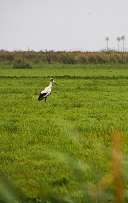 FORT SANTA TERESA | URUGUAY