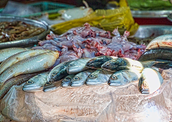 HO CHI MINH CITY | VIETNAM