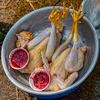 HO CHI MINH CITY | VIETNAM