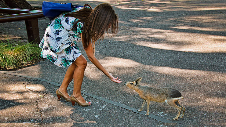 BUENOS AIRES | ARGENTINA