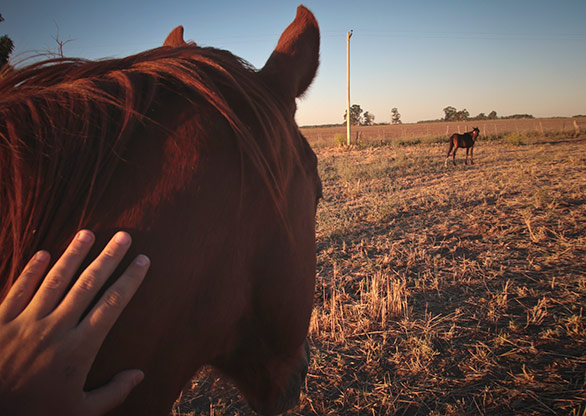 SANTA ROSA | ARGENTINA