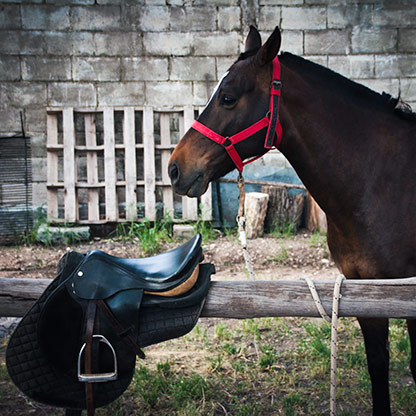 SANTA ROSA | ARGENTINA