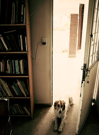 SANTA ROSA | ARGENTINA