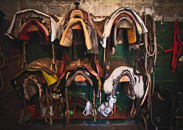 SANTA ROSA | ARGENTINA