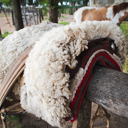 SANTA ROSA | ARGENTINA