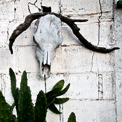 SANTA ROSA| ARGENTINA