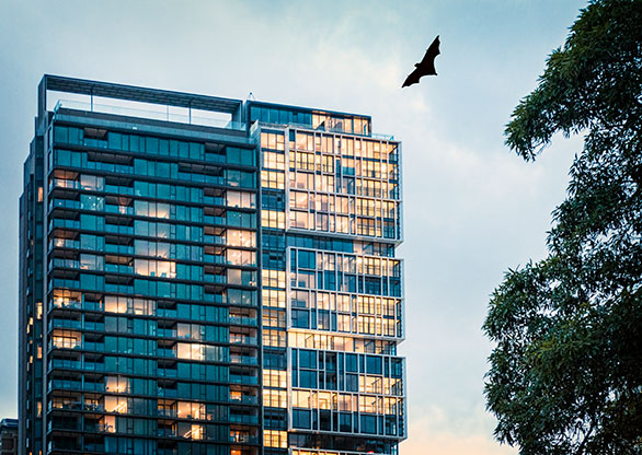 OFF TO THE BATCAVE SYDNEY / AUSTRALIA
