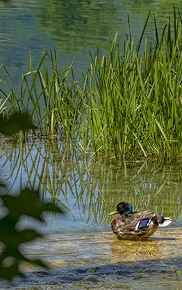 RURAL COUNTRYSIDE | BOSNIA HERZEGOVINA