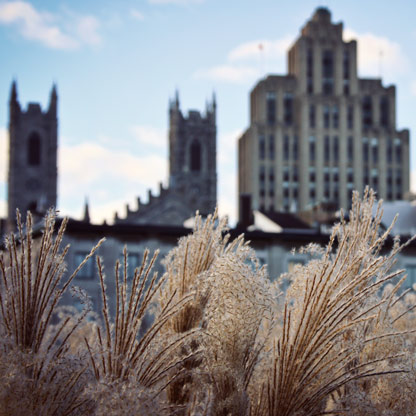 MONTREAL | QUEBEC | CANADA MONTREAL | QUEBEC | CANADA