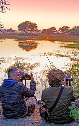 BIRD SANCTUARY | INDIA
