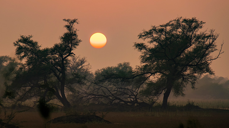 BIRD SANCTUARY | INDIA