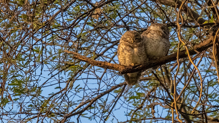 BIRD SANCTUARY | INDIA