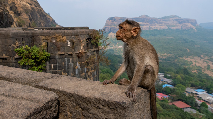 LOHAGAD FORT | INDIA
