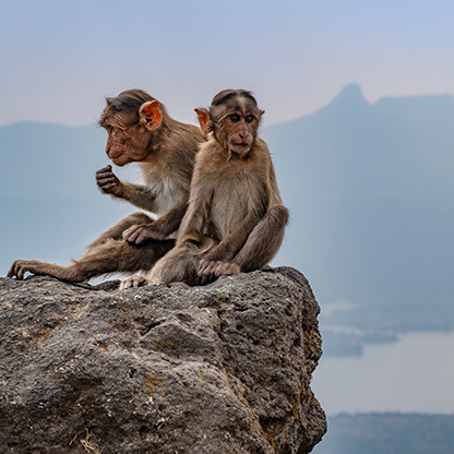 LOHAGAD FORT | INDIA