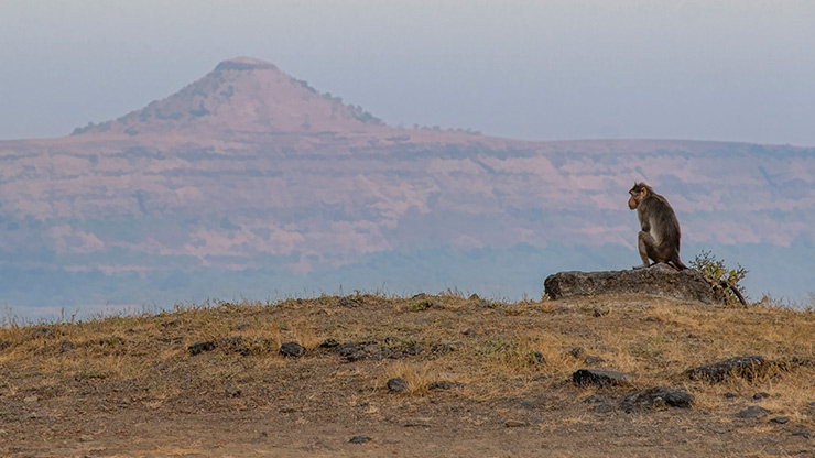 LOHAGAD FORT | INDIA