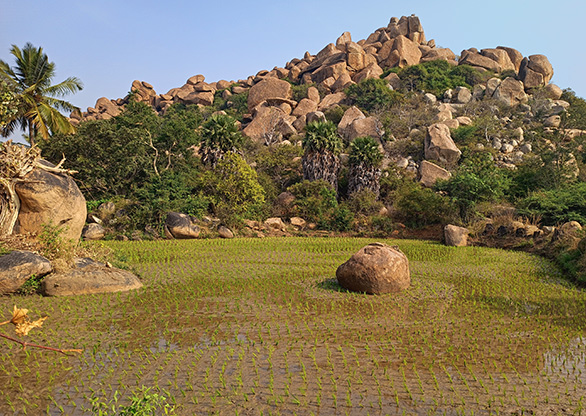 HAMPI | INDIA